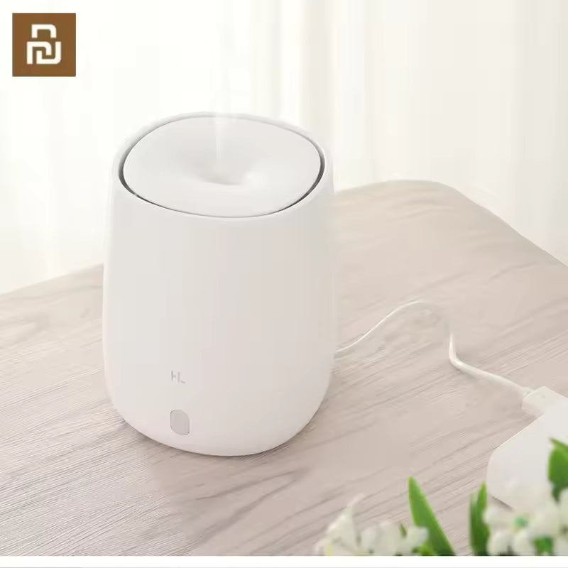 Aromatherapy Diffuser & Air Humidifier