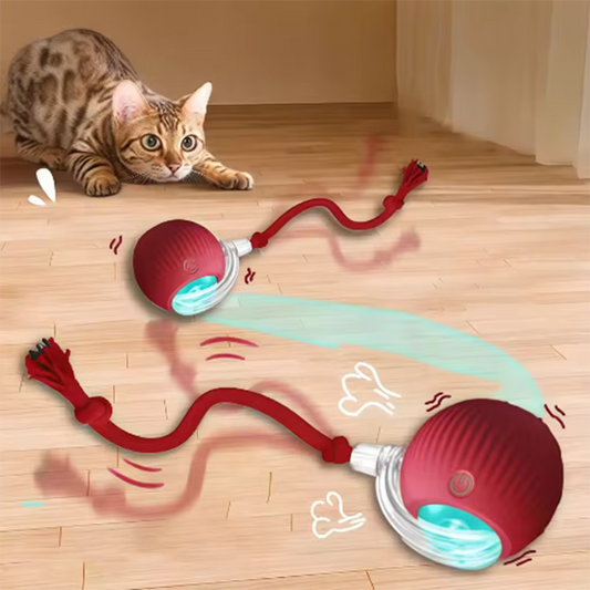 Intelligent Interactive Pet Ball | Smart Motion Cat Toy