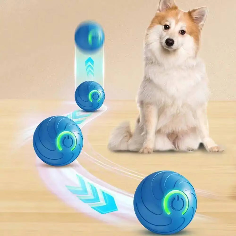 Smart Moving Pet Ball | USB Rechargeable Interactive Toy