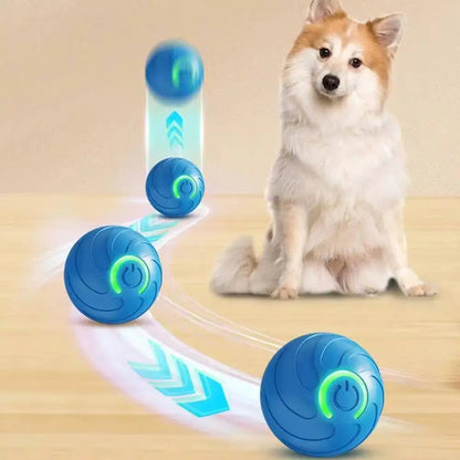 Smart Moving Pet Ball | USB Rechargeable Interactive Toy