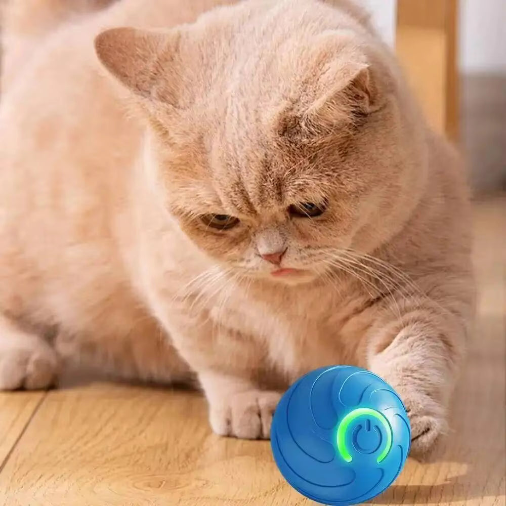 Smart Moving Pet Ball | USB Rechargeable Interactive Toy