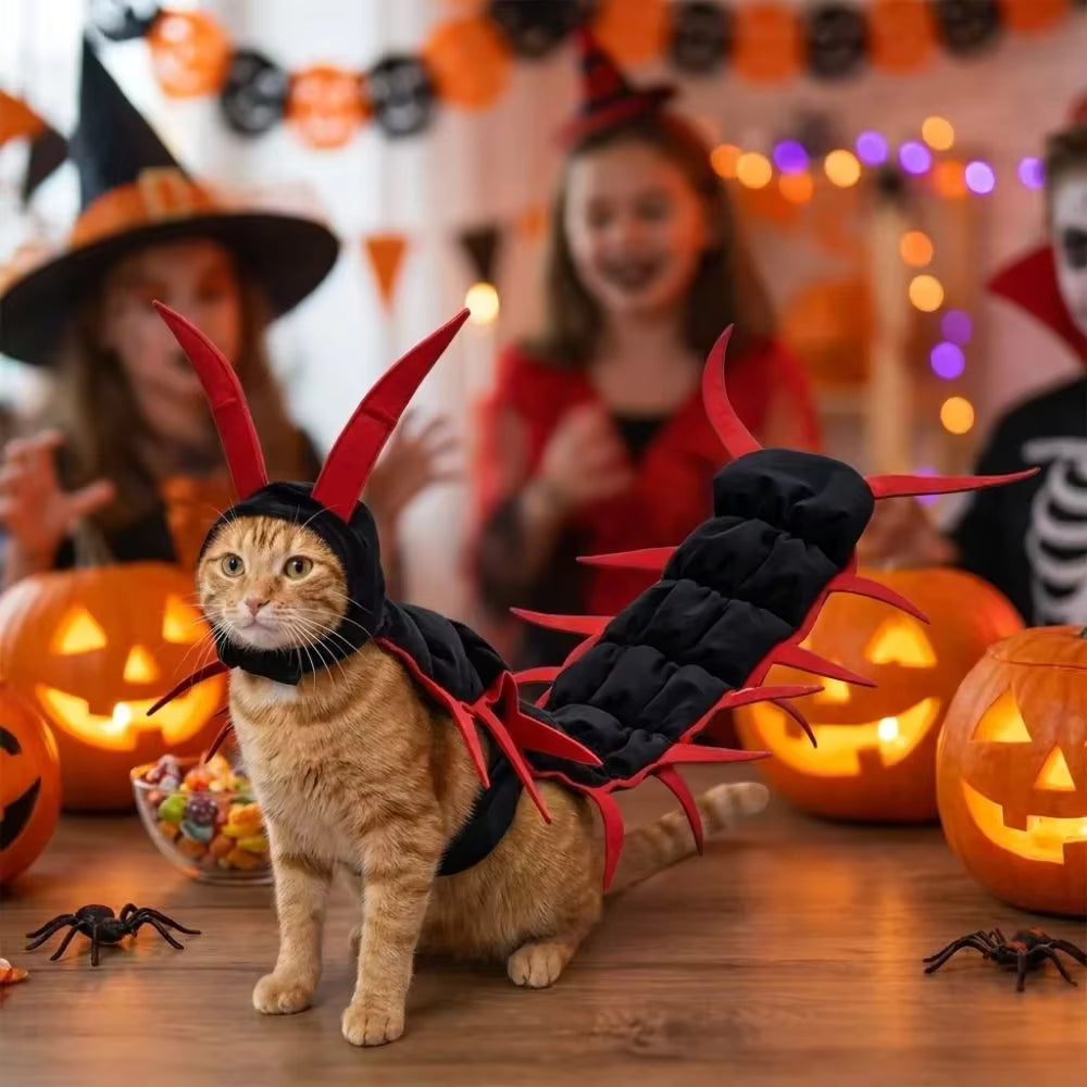 Centipede Cat Costume Halloween | 50-Inch Spooky Pet Cloak