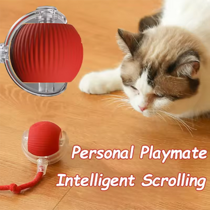 Intelligent Interactive Pet Ball | Smart Motion Cat Toy