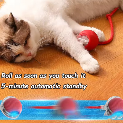 Intelligent Interactive Pet Ball | Smart Motion Cat Toy