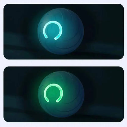 Smart Moving Pet Ball | USB Rechargeable Interactive Toy
