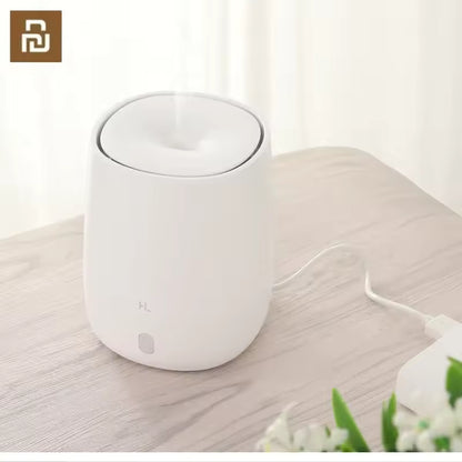 Aromatherapy Diffuser & Air Humidifier