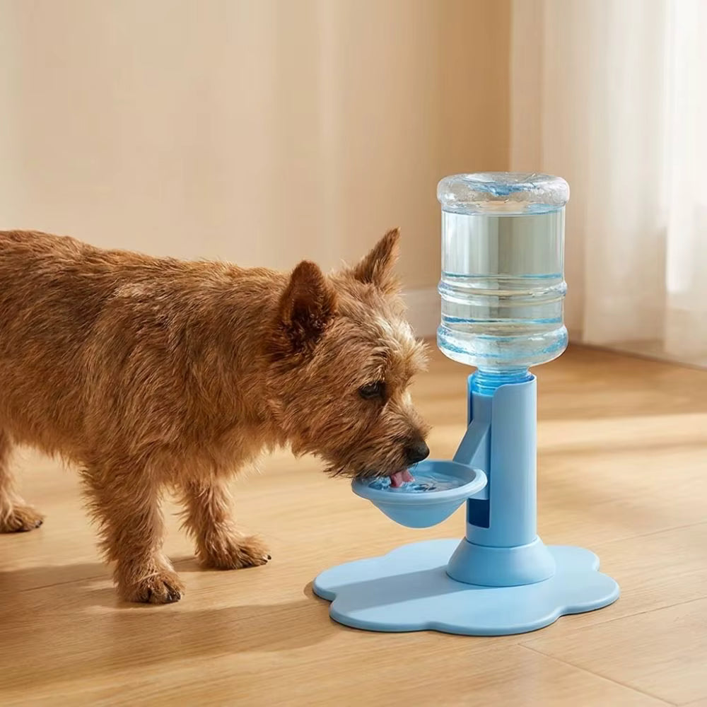 Elevated Gravity Cat Water Dispenser & Adjustable Feeder Stand