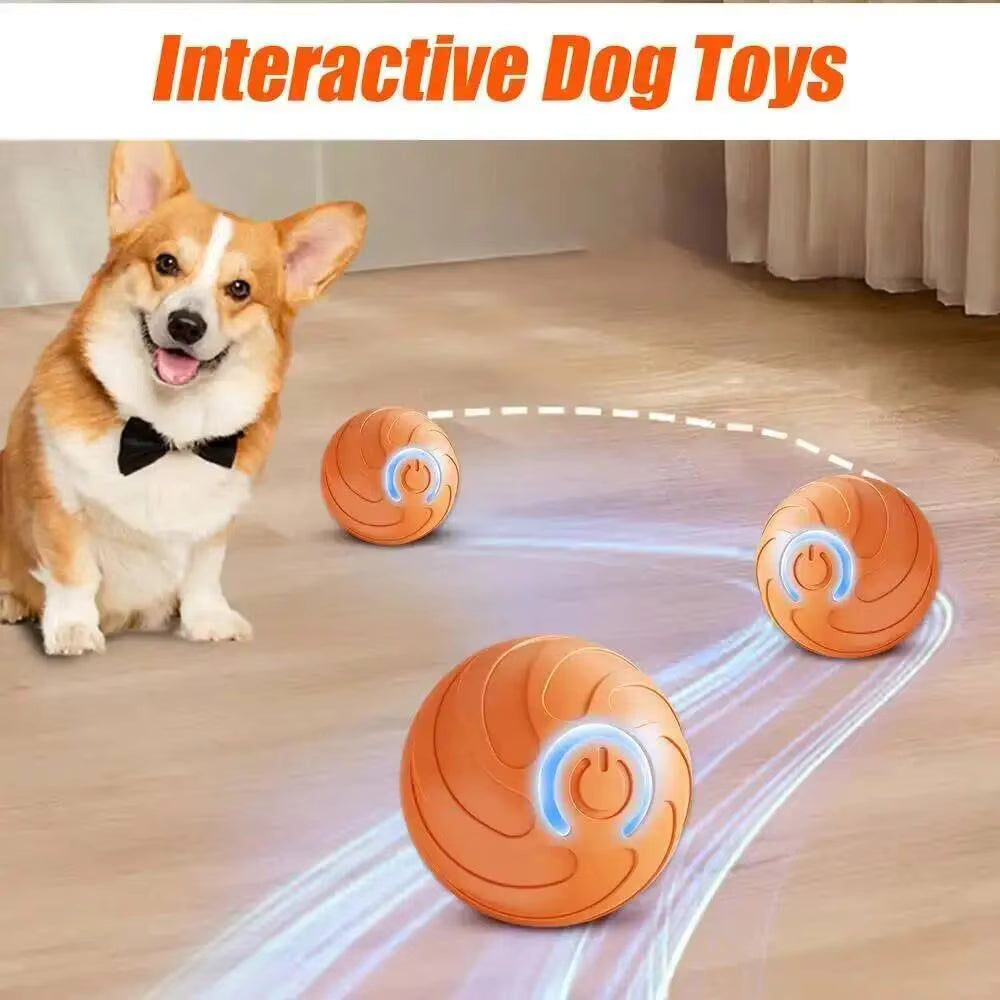 Smart Moving Pet Ball | USB Rechargeable Interactive Toy