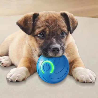 Smart Moving Pet Ball | USB Rechargeable Interactive Toy