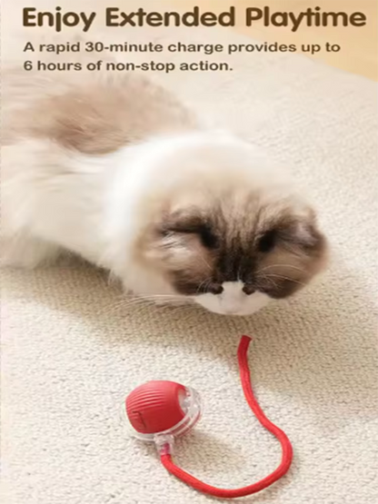 Intelligent Interactive Pet Ball | Smart Motion Cat Toy