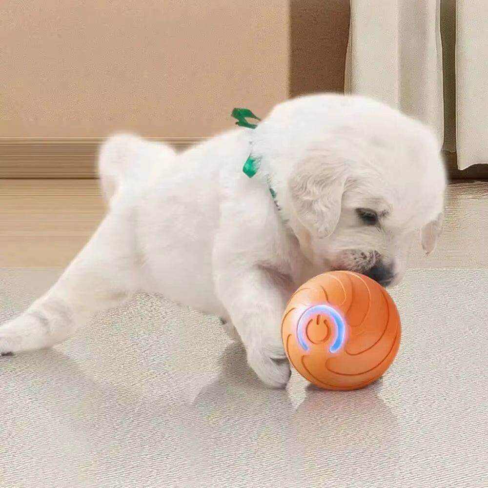 Smart Moving Pet Ball | USB Rechargeable Interactive Toy