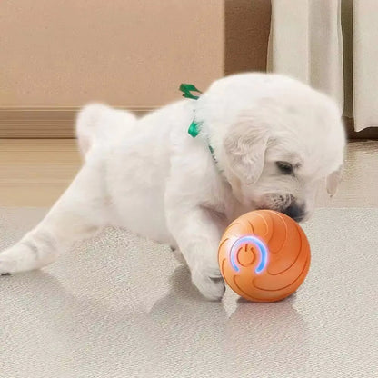 Smart Moving Pet Ball | USB Rechargeable Interactive Toy