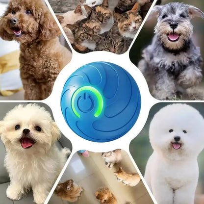 Smart Moving Pet Ball | USB Rechargeable Interactive Toy